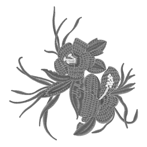 CMC4C4