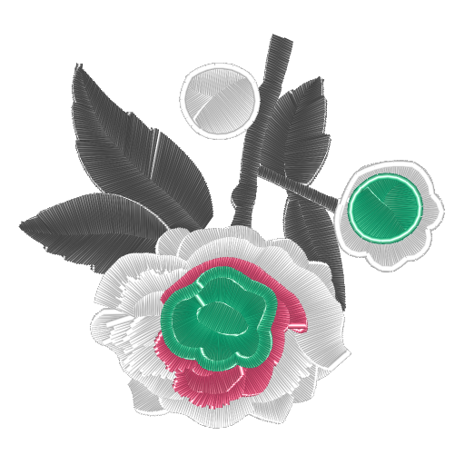 粉边绿芯牡丹图