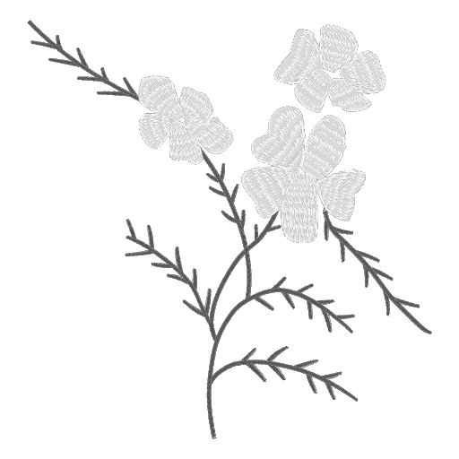 CMC4E8