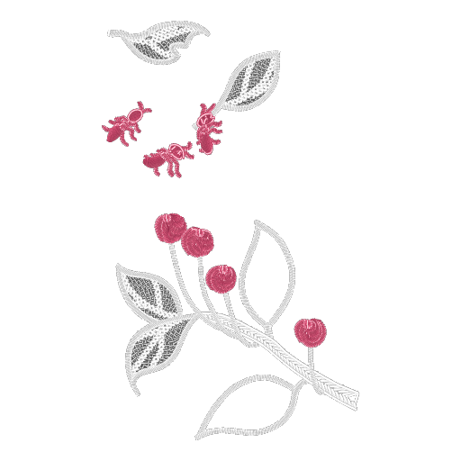 瓢虫樱桃针绘