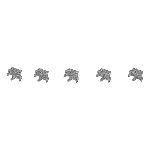 五朵绣球花