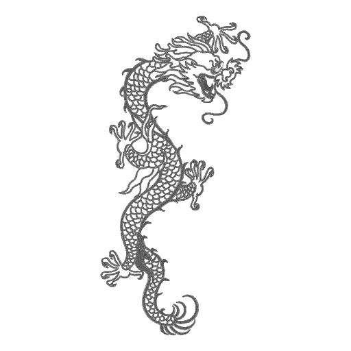 墨色飞龙