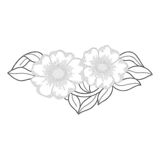 花开烂漫