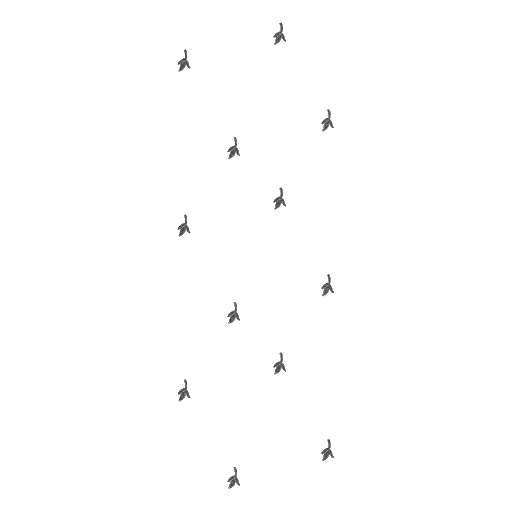 ETINGD 深灰飞鸟图