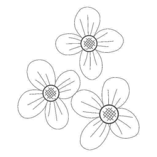 绣三朵小花