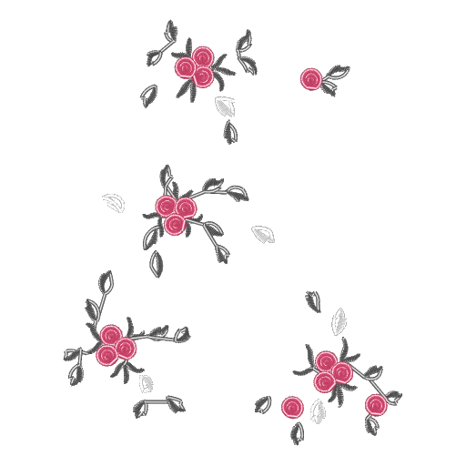 CMC1C5