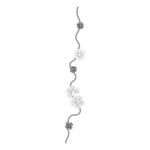 波浪间绽菊影