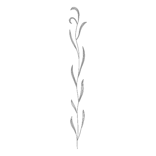 卷叶纹刺绣 motif