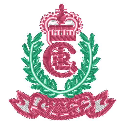 皇冠”字母刺绣图案