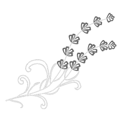 CMC4FD