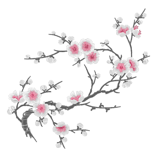 春枝绣梅