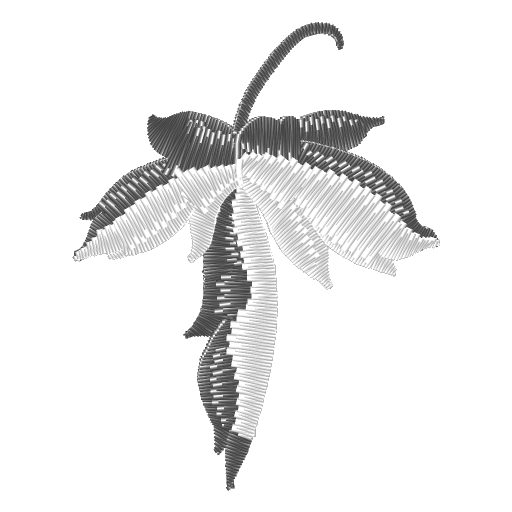 针线兰花