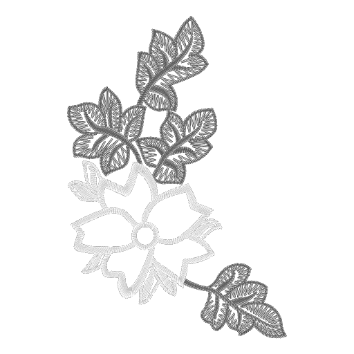 CMC4B1