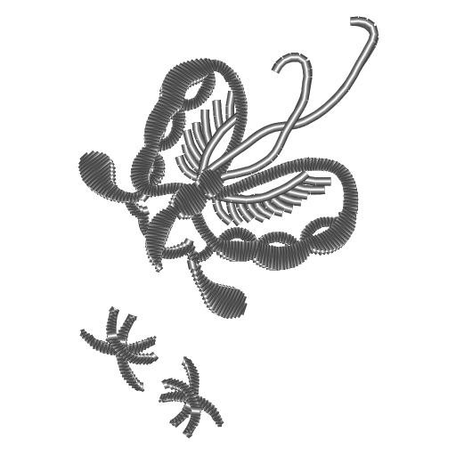 CMC22D