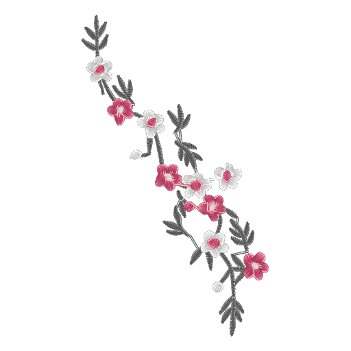樱花枝