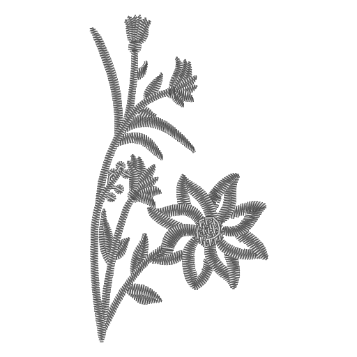 蝶鸟栖花