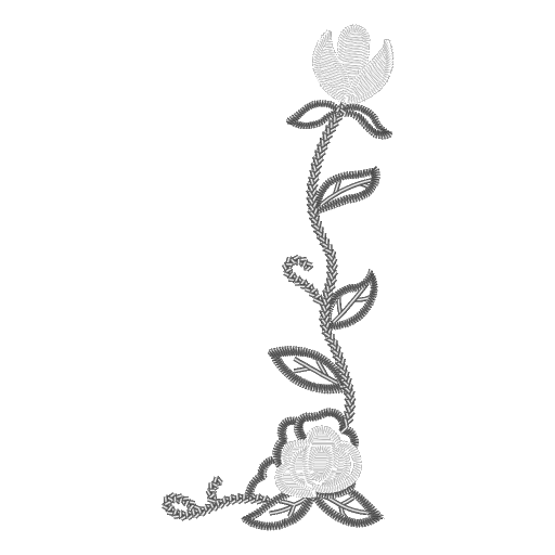 花枝缠绕的优雅