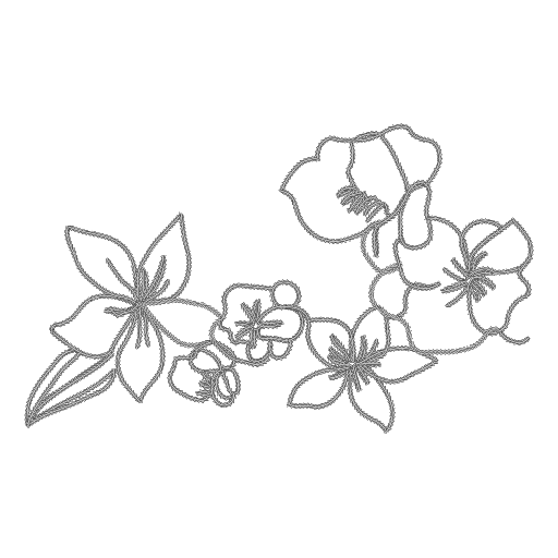 梅枝绽花图