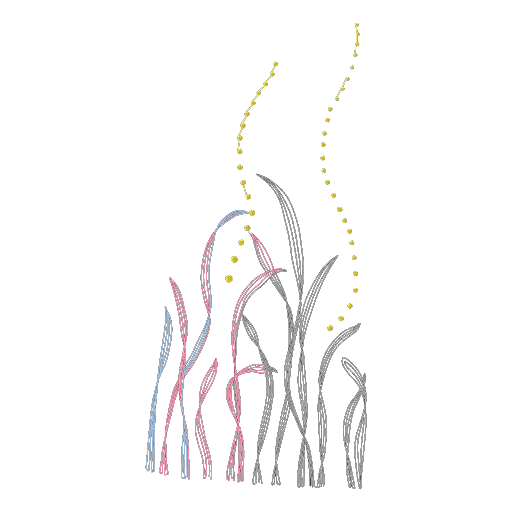 CMC1D5