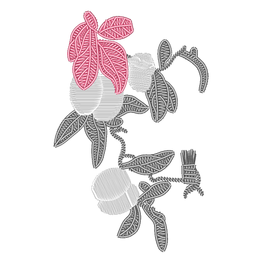 CMC4A3