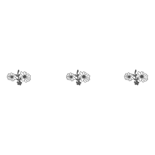 三朵黑色剪影花