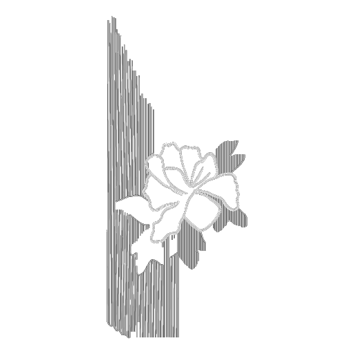 CMC4C6